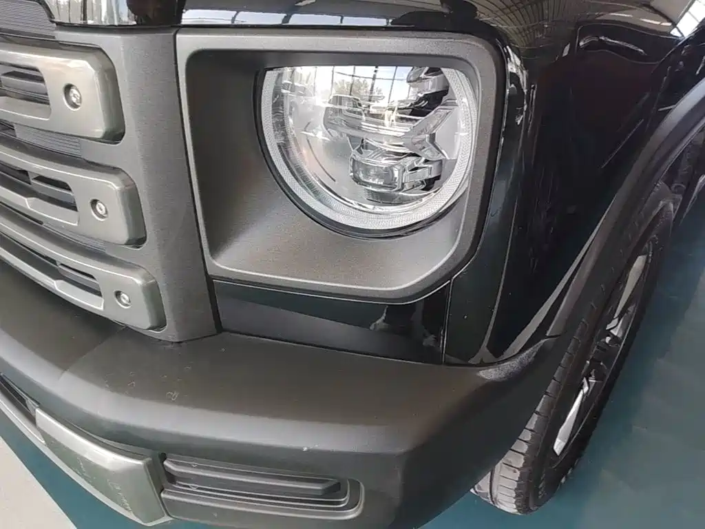 Haval Menglong New Energy — миниатюра 24