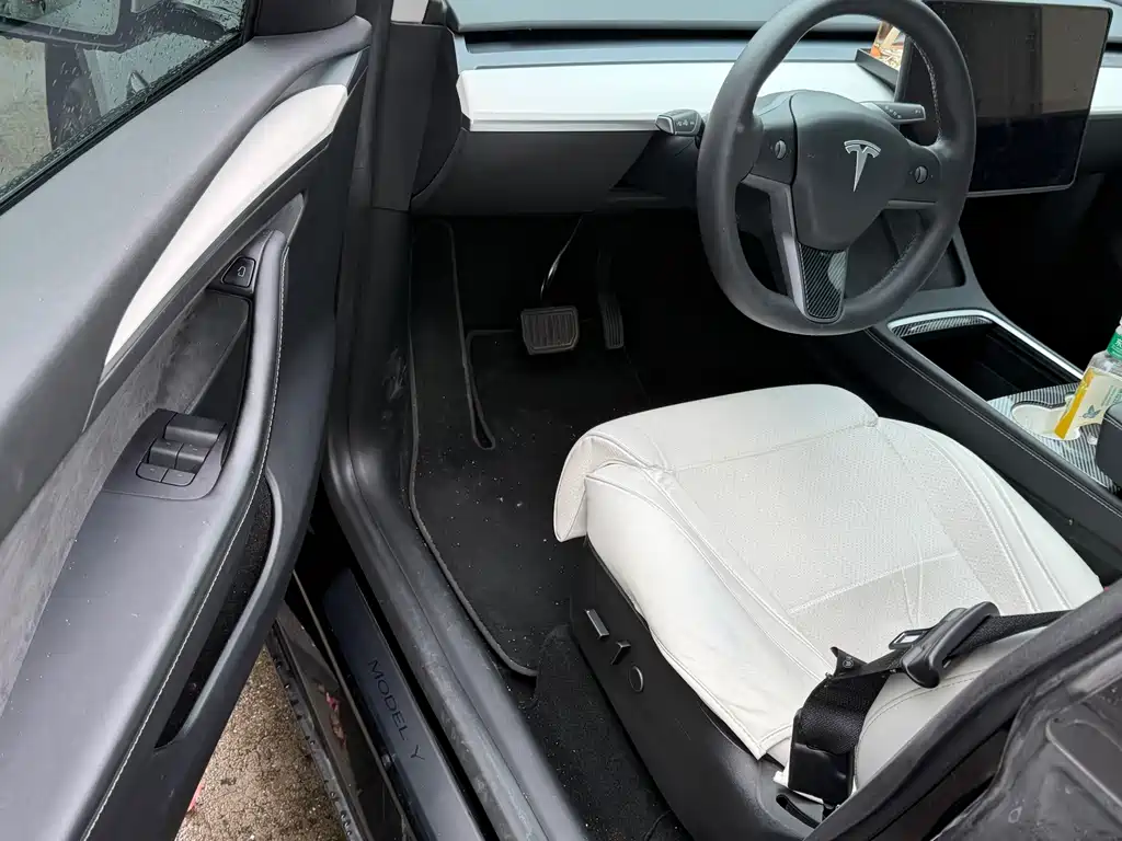 Tesla Model Y — миниатюра 5