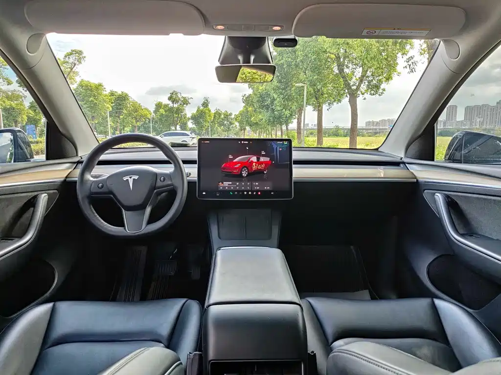 Tesla Model Y — миниатюра 12
