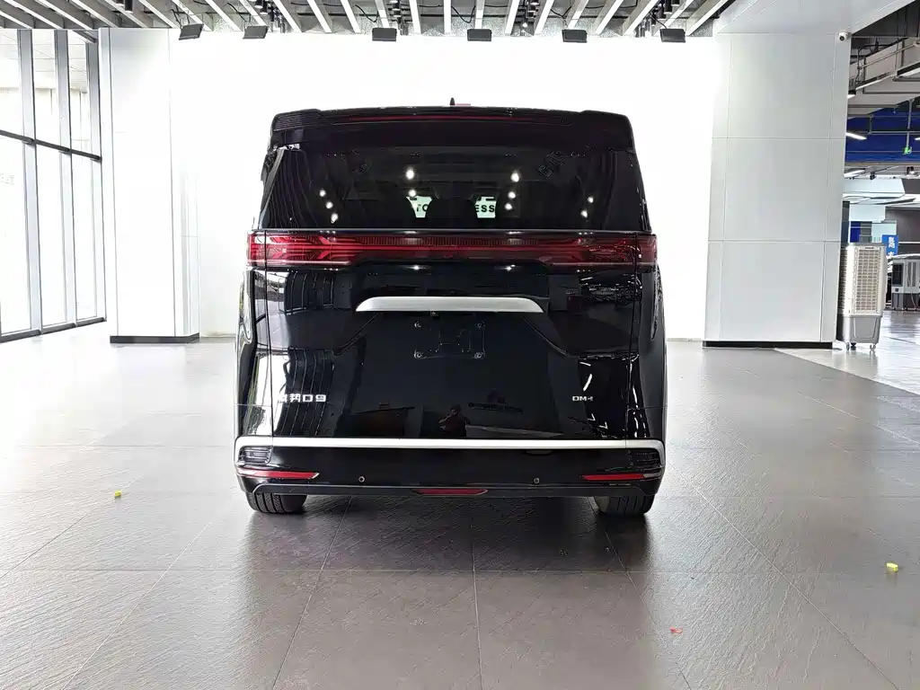 Denza Denza D9 — миниатюра 19