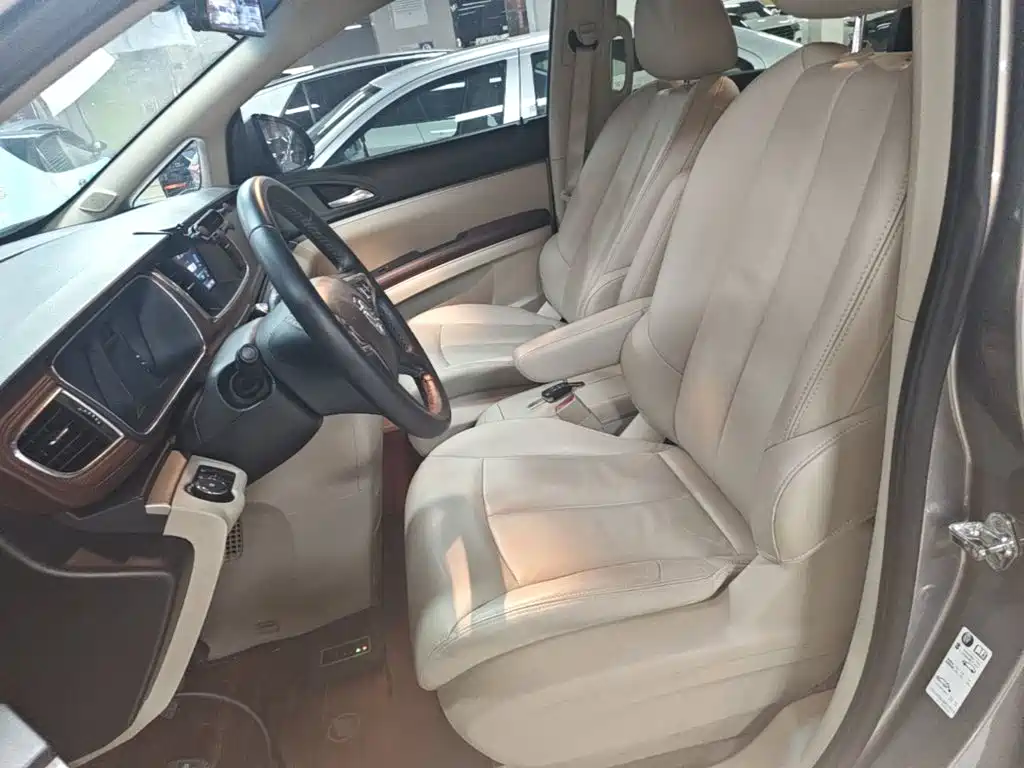 Buick GL8 — миниатюра 15