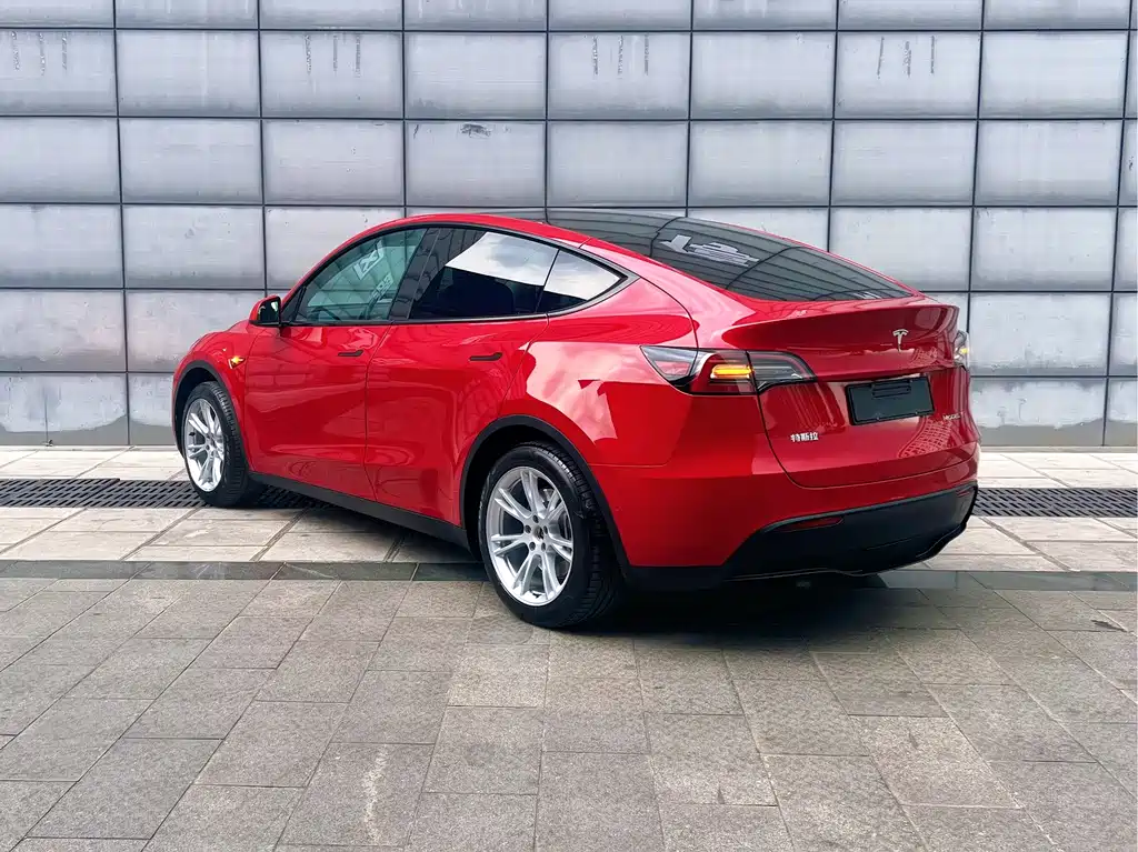 Tesla Model Y — миниатюра 10