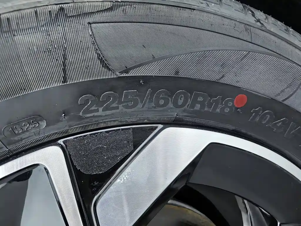 Aeolus Восточный ветер, L7. — миниатюра 24