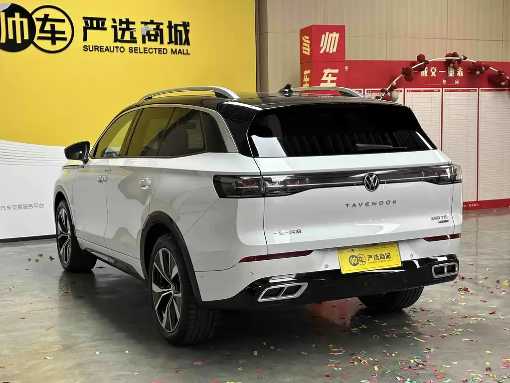 Volkswagen Tavendor — миниатюра 6
