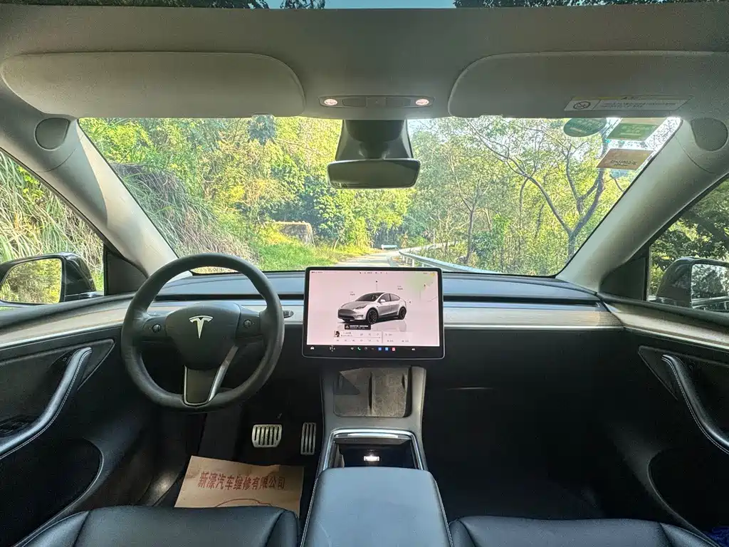 Tesla Model Y — миниатюра 11