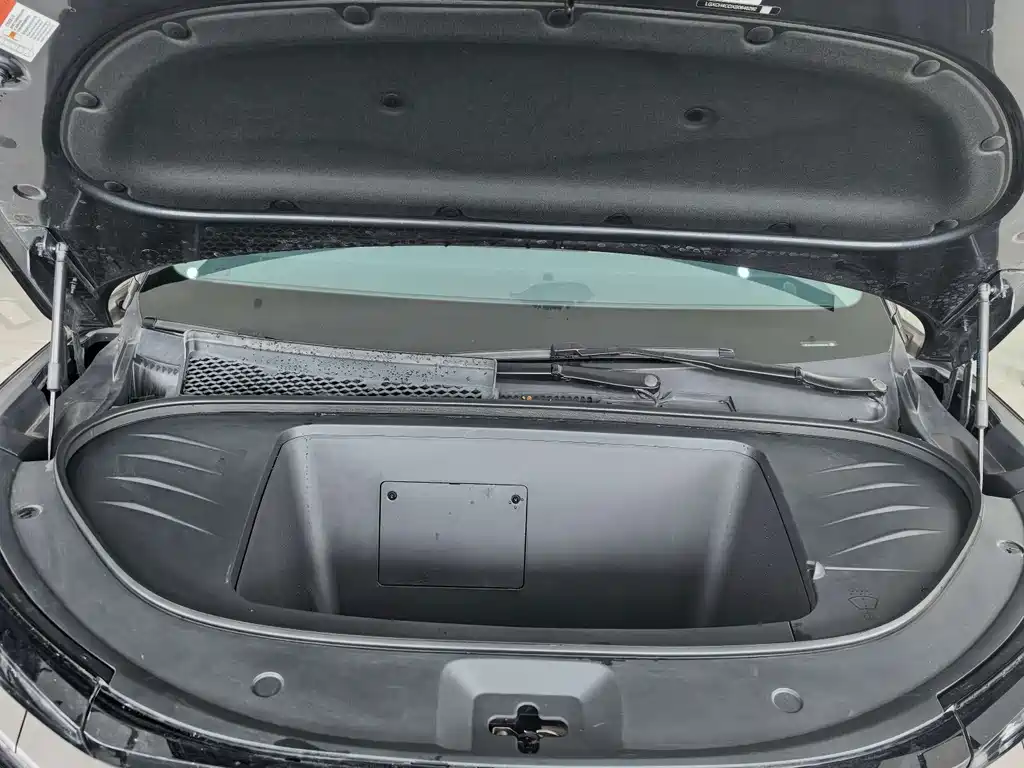 BYD Дон Л. — миниатюра 3