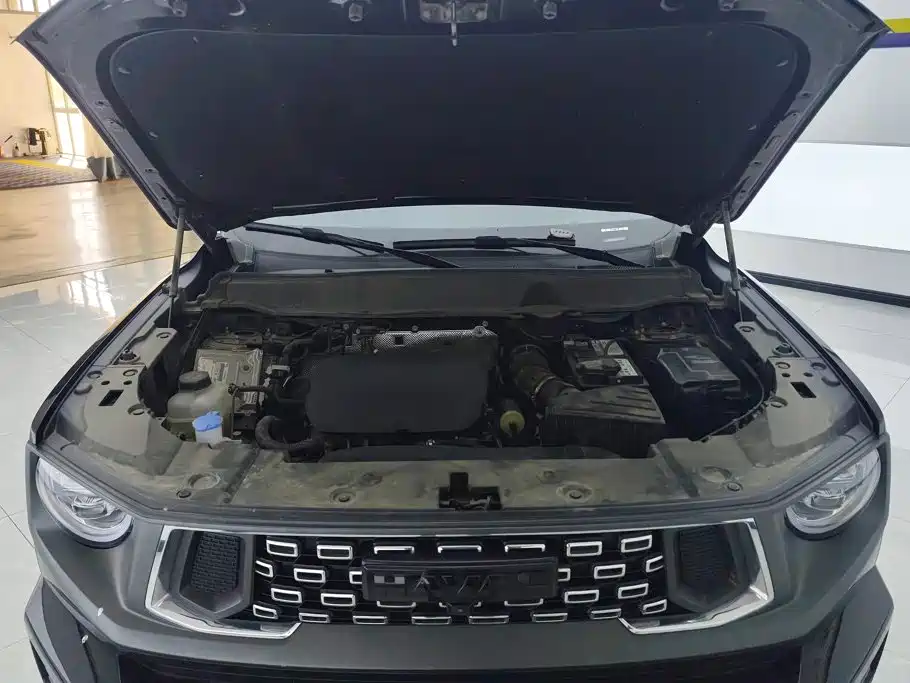 Haval Big Dog PLUS — миниатюра 10