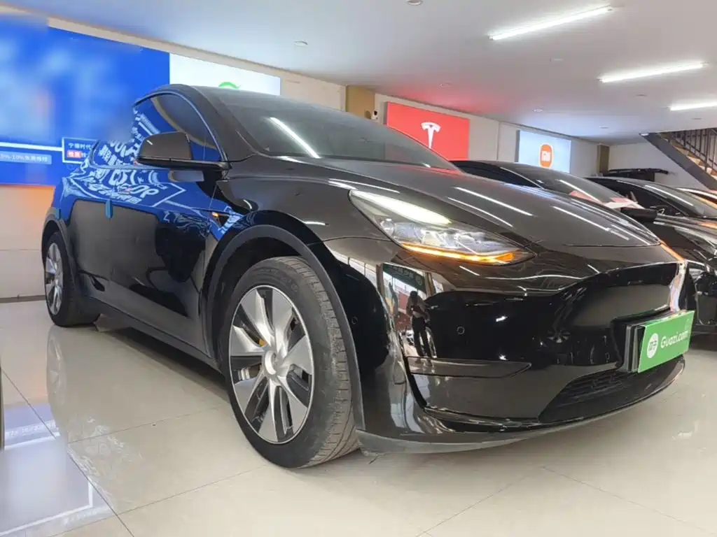 Tesla Model Y — миниатюра 4