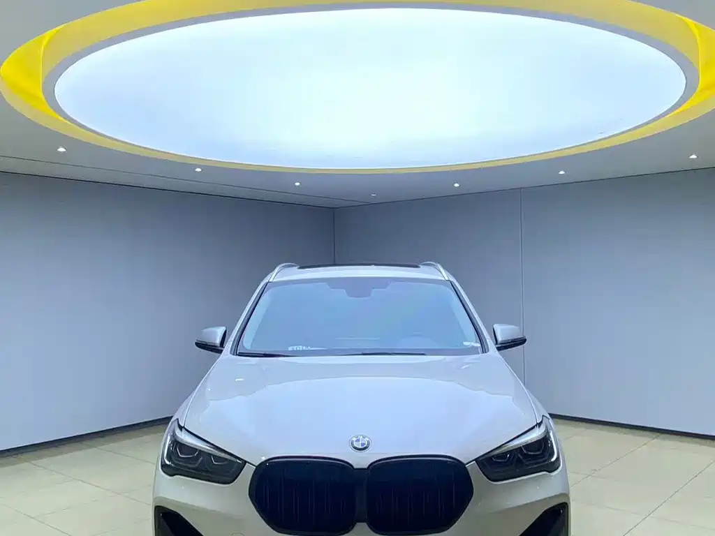 BMW X1 — миниатюра 2