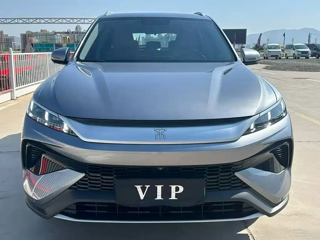 BYD Pro New Energy — миниатюра 2