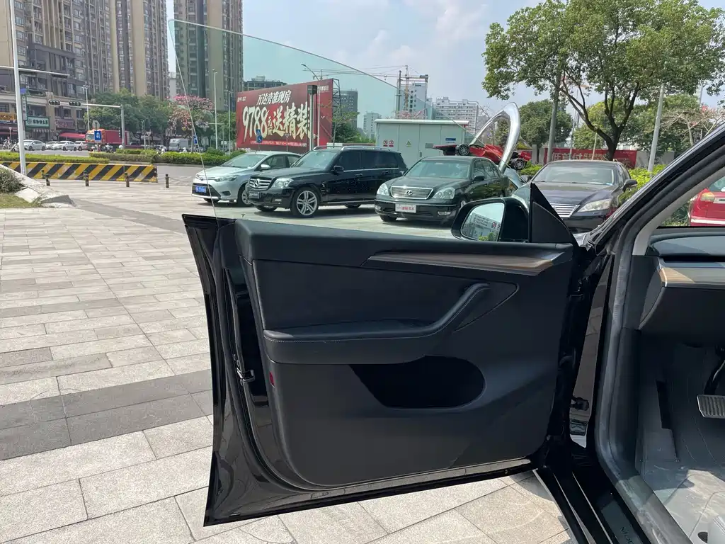 Tesla Model Y — миниатюра 9