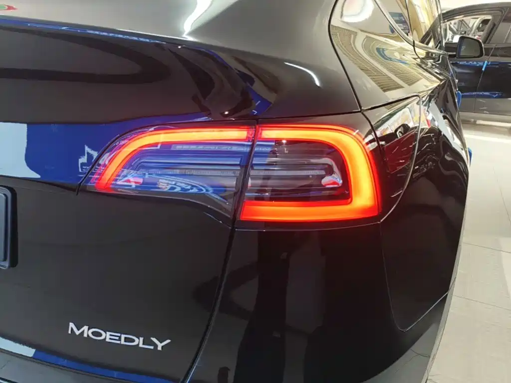 Tesla Model Y — миниатюра 8