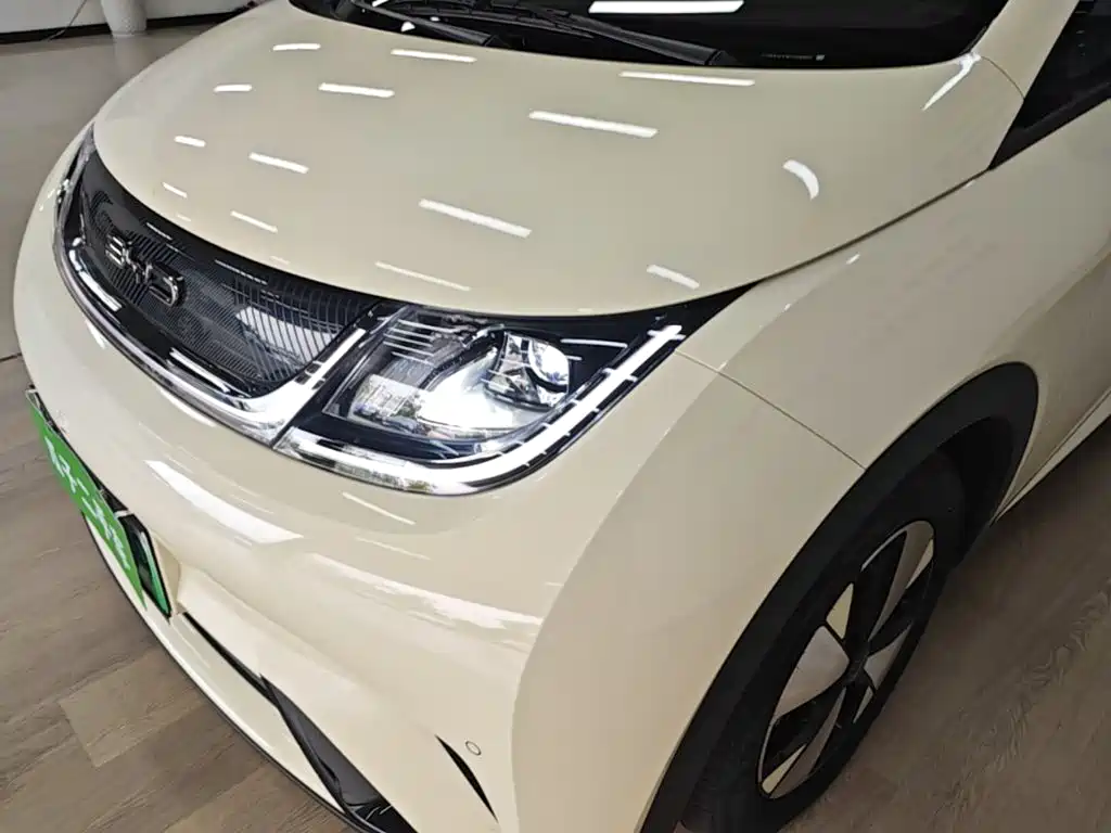 BYD Dolphin — миниатюра 24