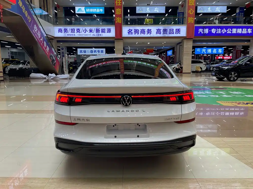 Volkswagen Lamando — миниатюра 7