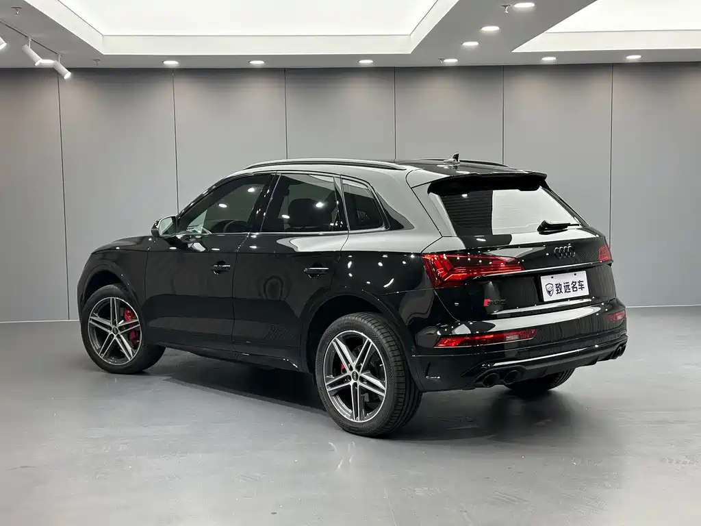 Audi SQ5 — миниатюра 6