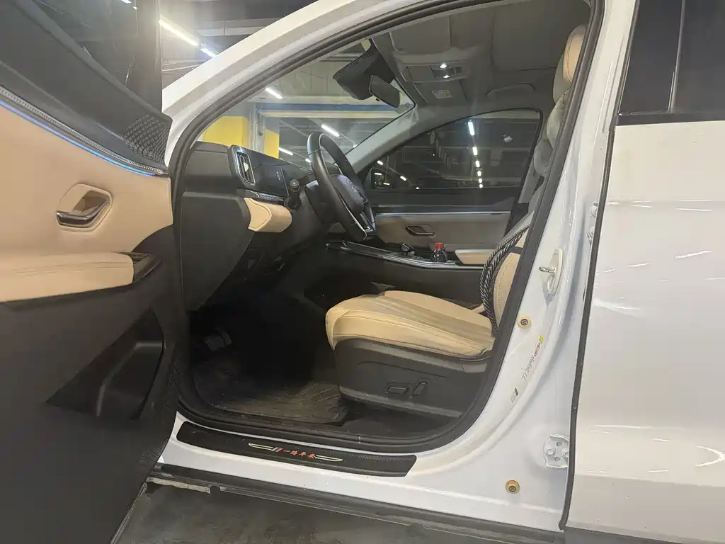 BYD Pro New Energy — миниатюра 4