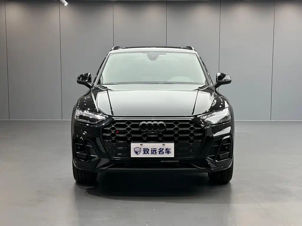 Audi SQ5 — миниатюра 2
