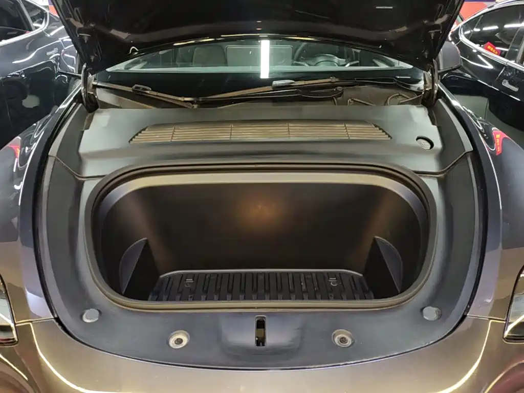 Tesla Model Y — миниатюра 20