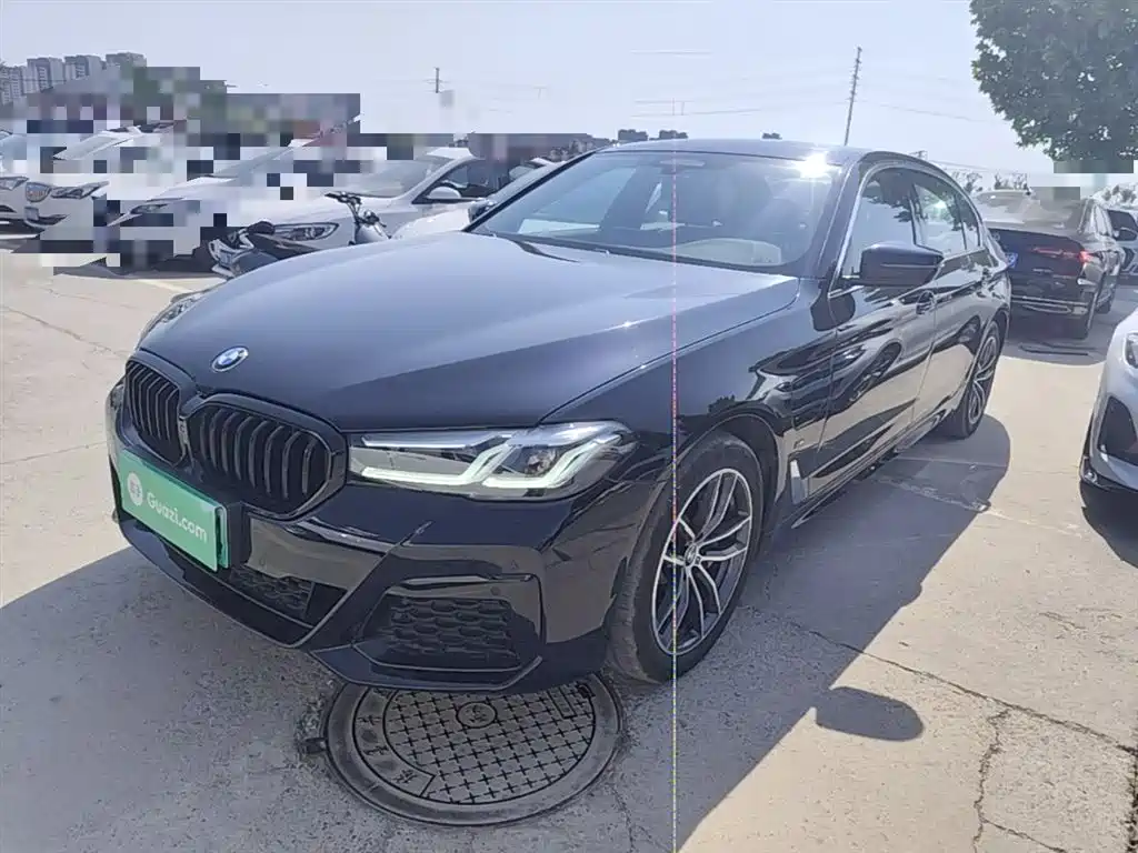 BMW 5 Series New Energy 2021