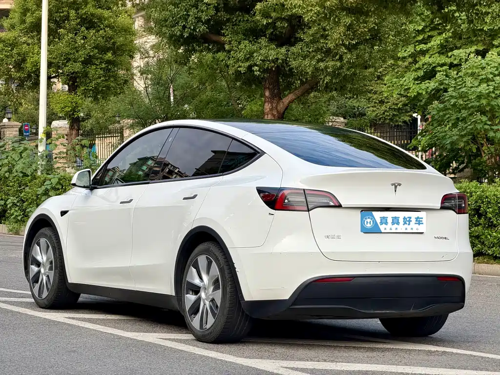 Tesla Model Y — миниатюра 6