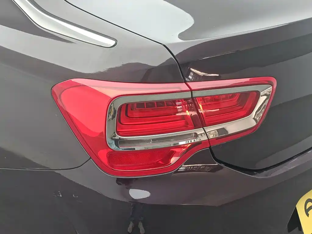 DS DS 5LS — миниатюра 13