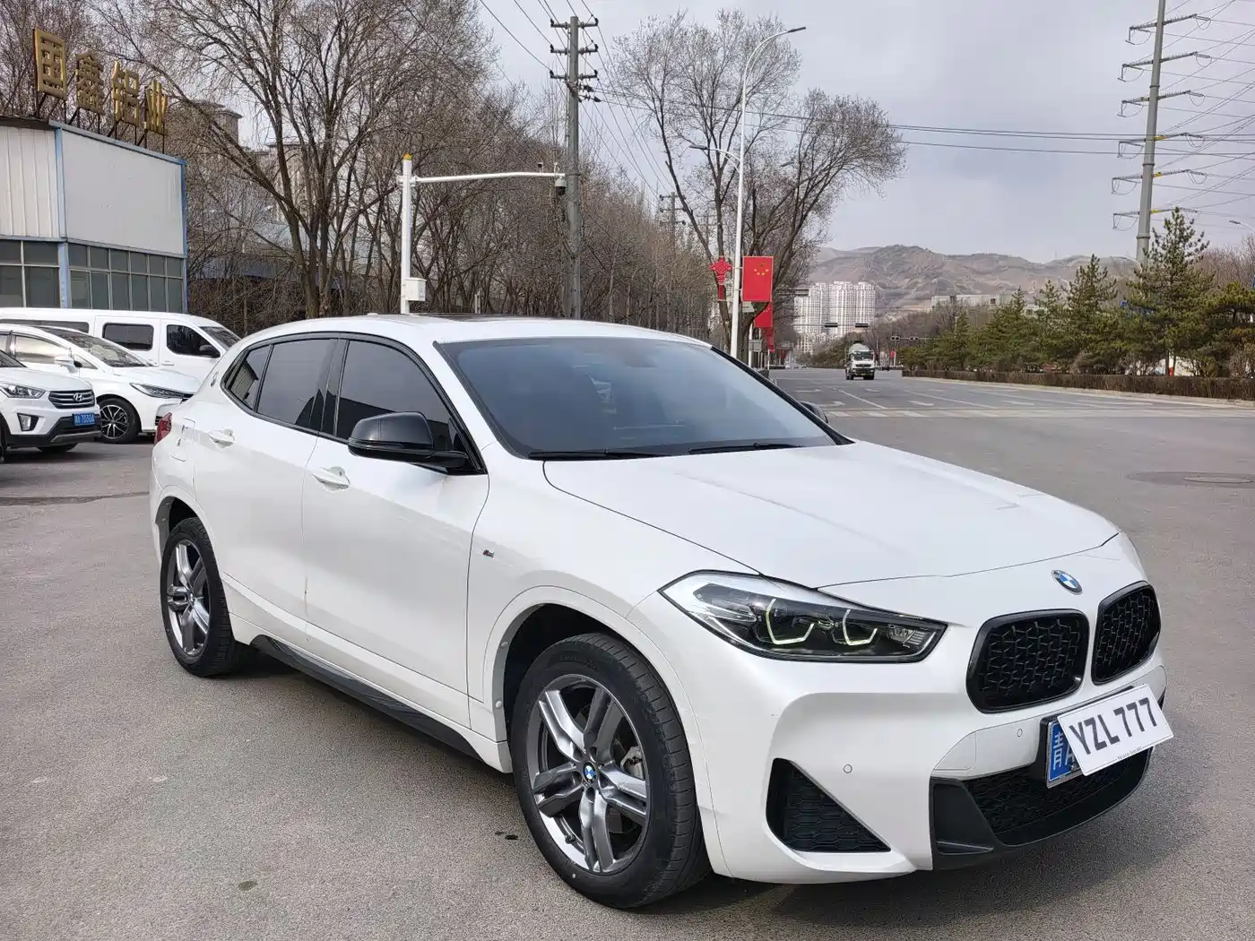 BMW X2