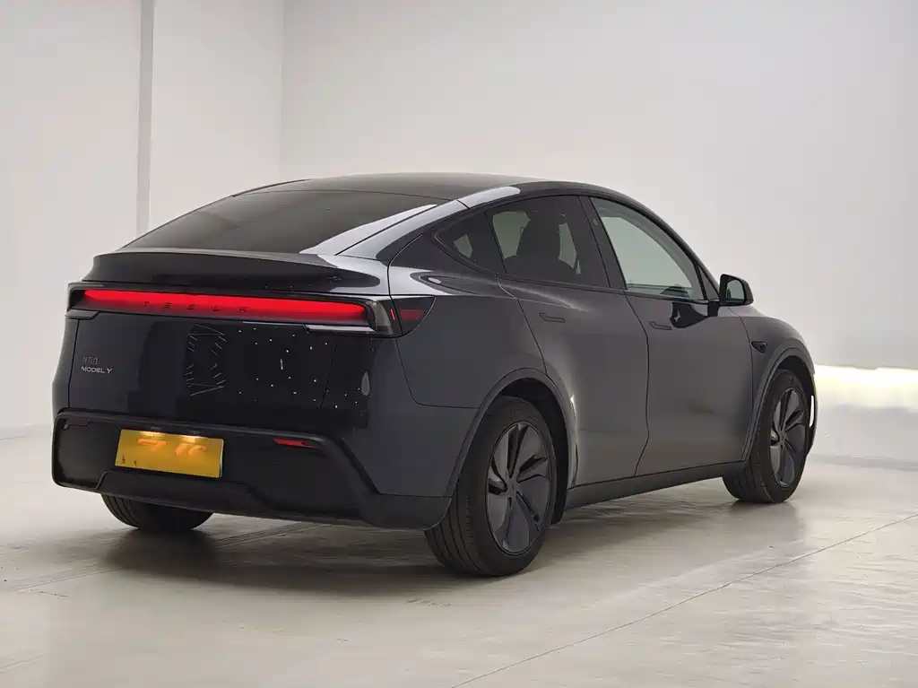 Tesla Model Y — миниатюра 9