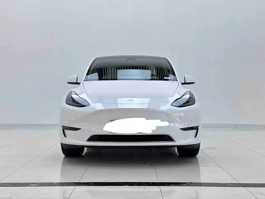 Tesla Model Y — миниатюра 2