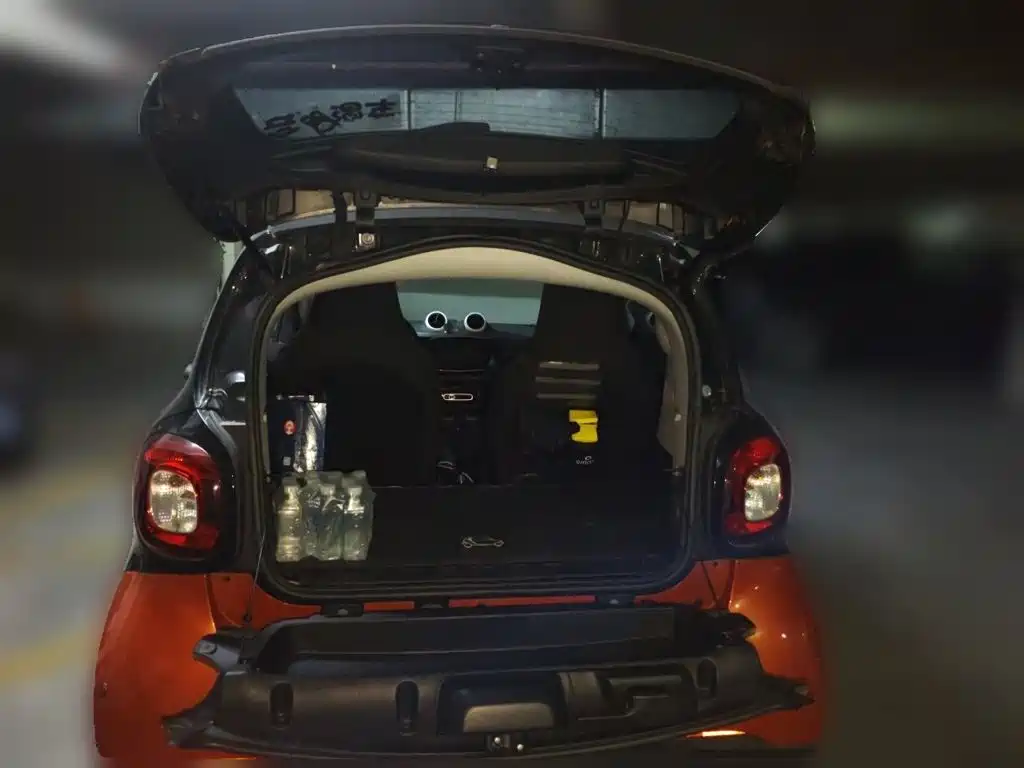 smart Smart Fortwo — миниатюра 15