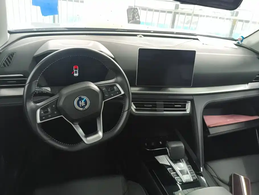BYD Pro — миниатюра 12