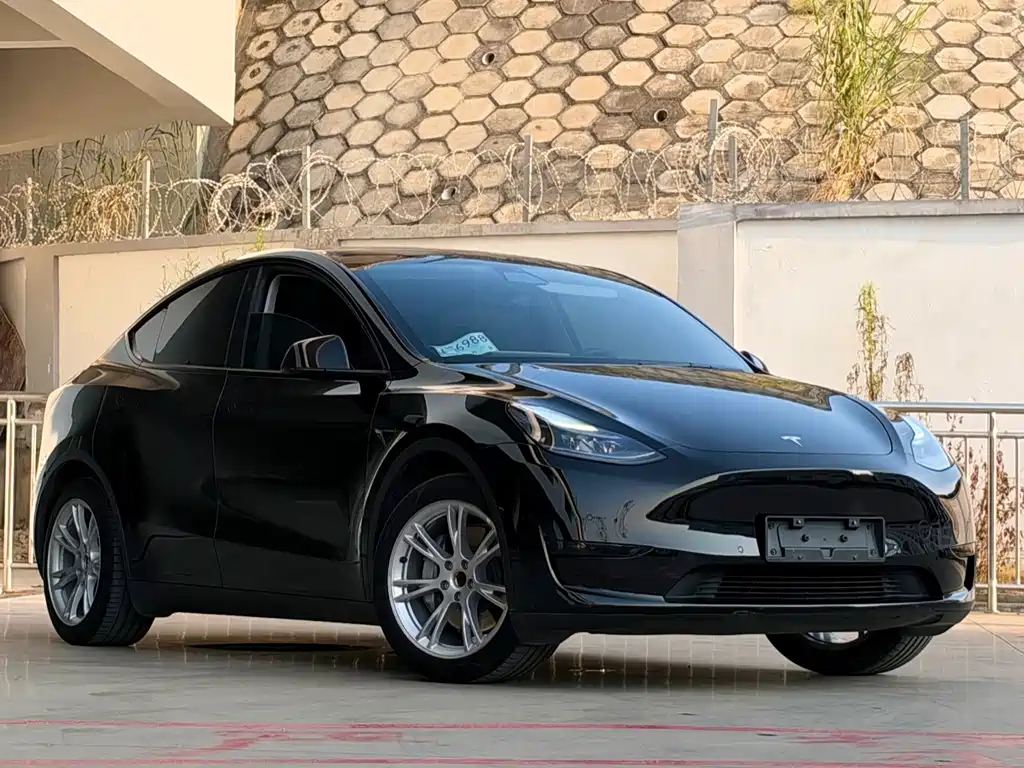 Tesla Model Y — миниатюра 3