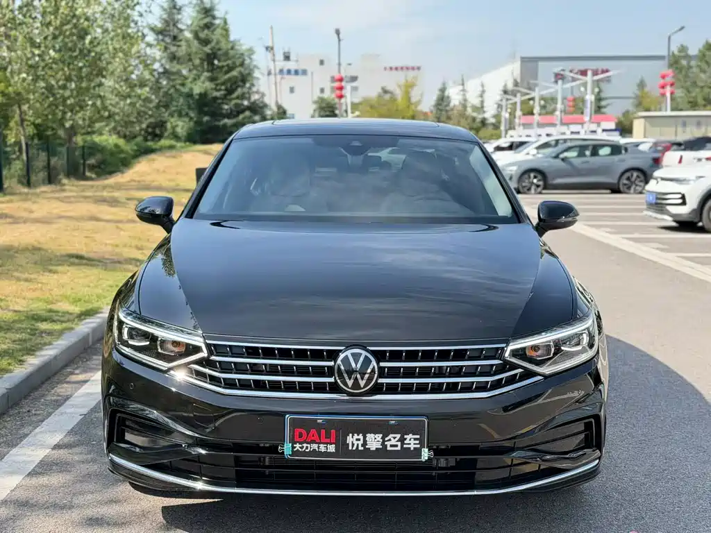 Volkswagen Magotan — миниатюра 2