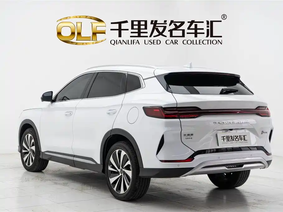 BYD SONGJIANG NEW ENERGY