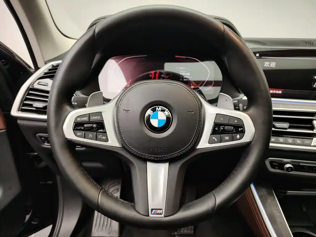 BMW X5 (Import) — миниатюра 10