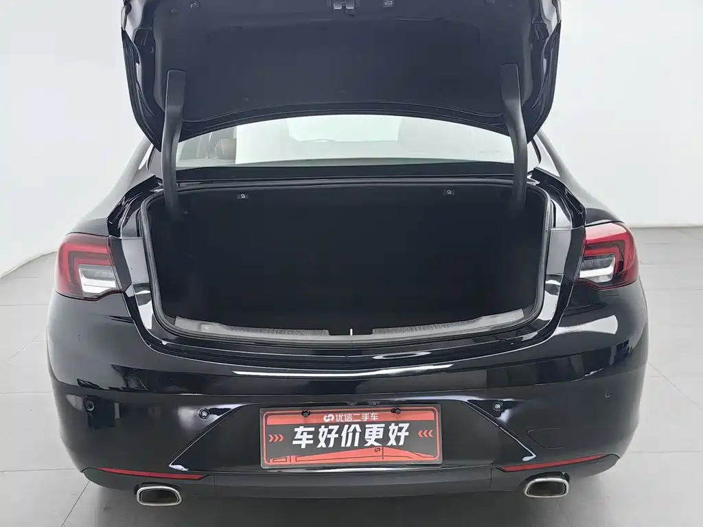 Buick Regal — миниатюра 16