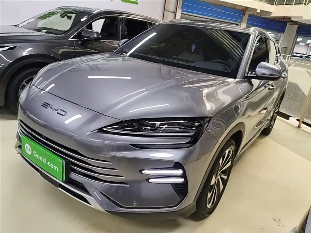 Byd PLUS New Energy 2024