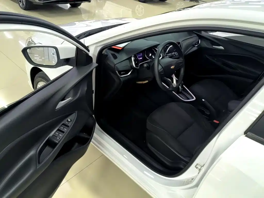 Chevrolet Cavalier — миниатюра 16