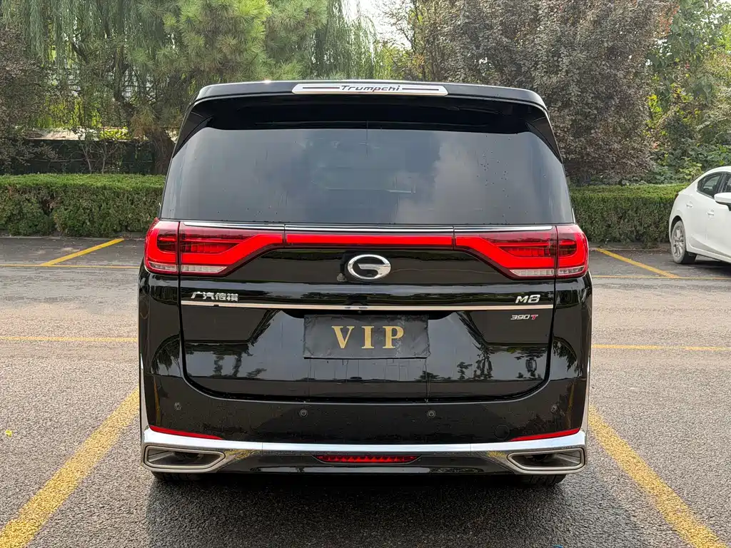 GAC Motor Trumpchi M8 — миниатюра 4