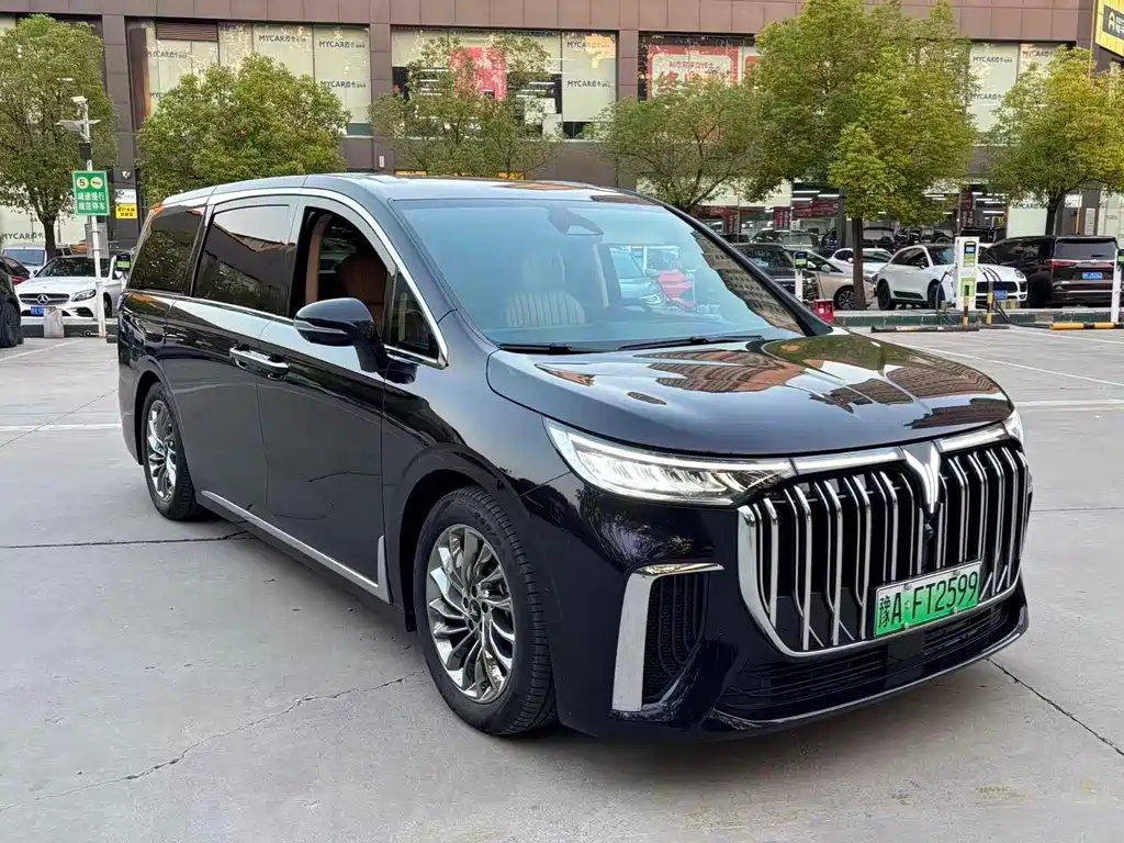 VOYAH Dreamer — миниатюра 3
