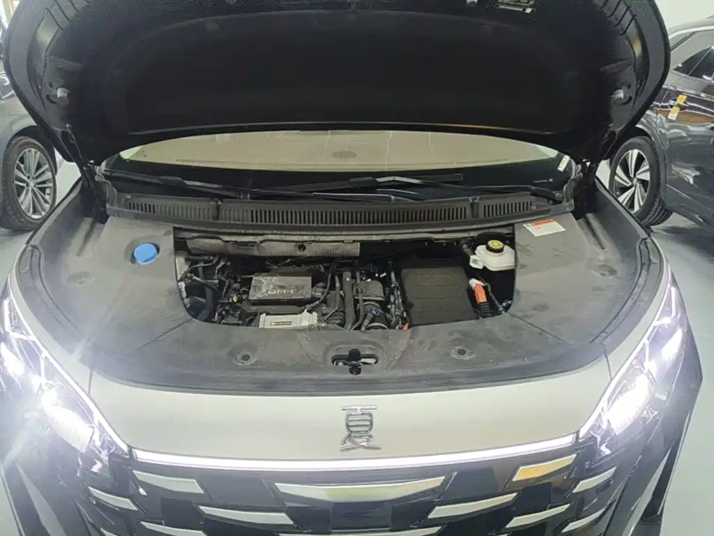 BYD Xia — миниатюра 20