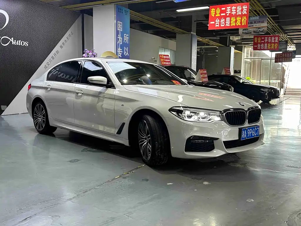 BMW 5 Series 5 2018 530Li Premium M Sport