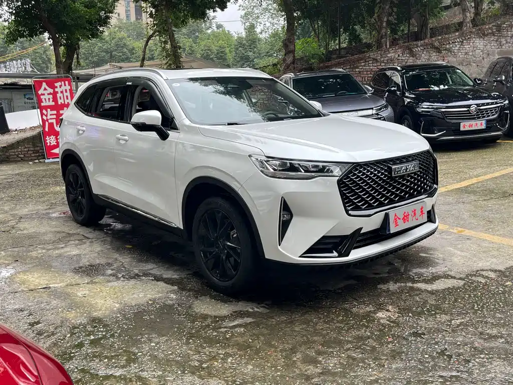 Haval H6 — миниатюра 7