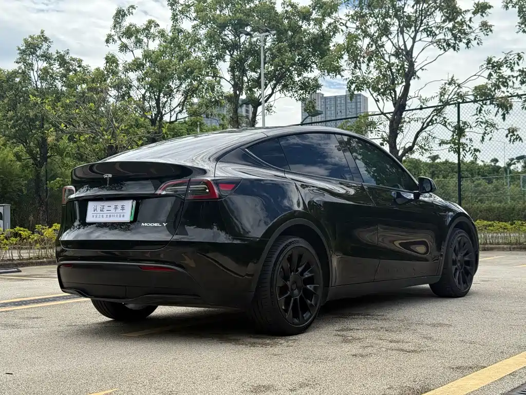 Tesla Model Y — фотографии объявления, Фото 15