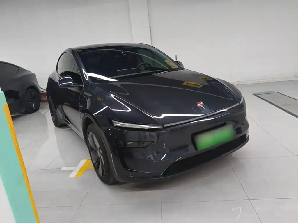 Tesla Model Y — миниатюра 4