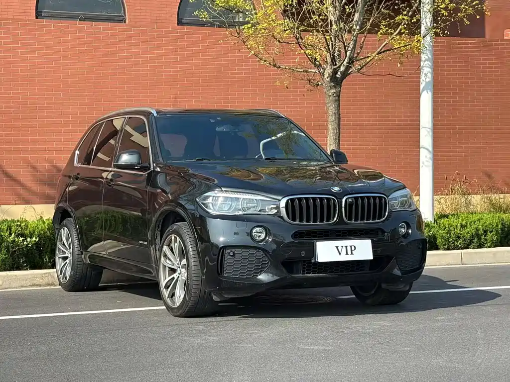 BMW X5 (Import) — миниатюра 3