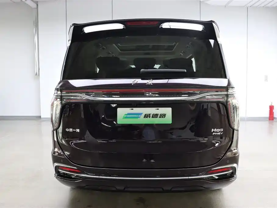 Hongqi HQ9 PHEV 2.0T 4WD Business Edition, фото 5