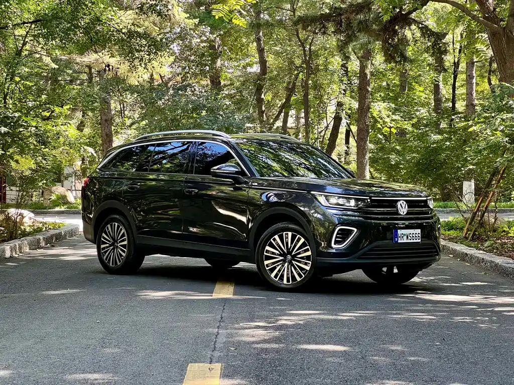 Volkswagen Tavendor — миниатюра 5