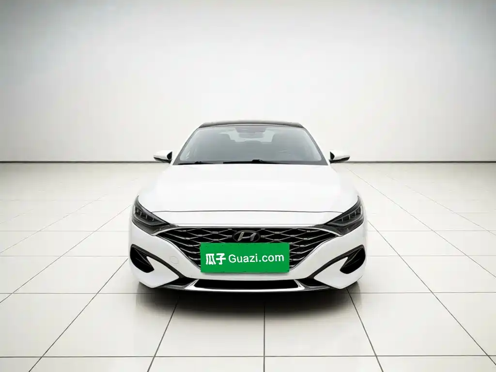 Hyundai Fista — миниатюра 2