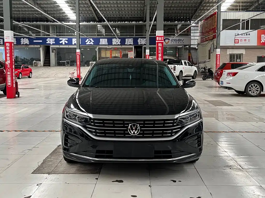 Volkswagen Passat — миниатюра 2