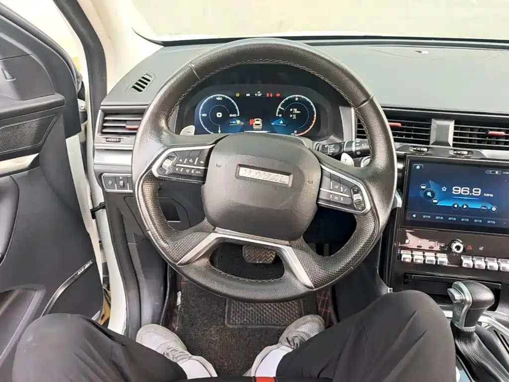 Haval H4 — миниатюра 11